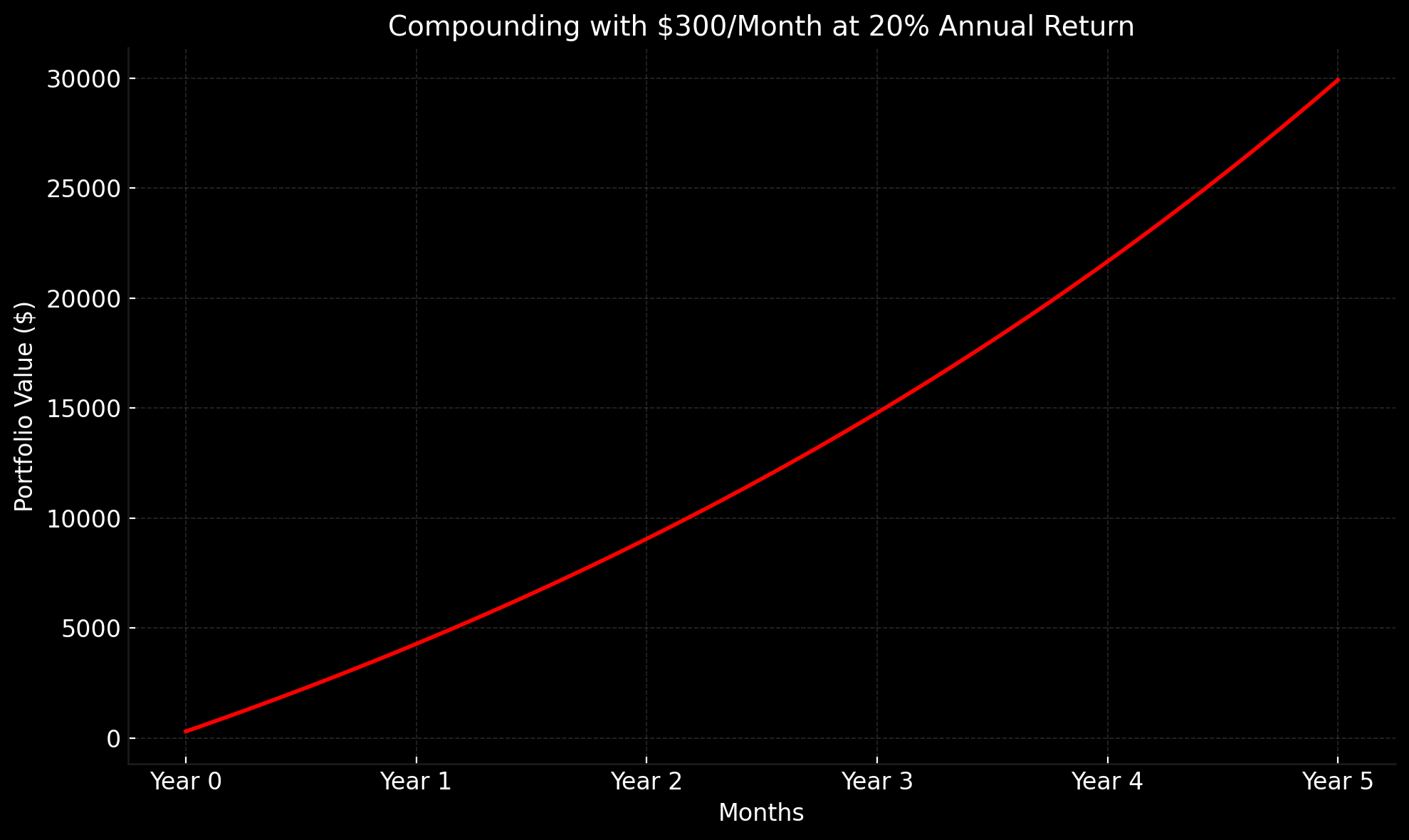 The Beginner’s Edge: How Focused Compounding Builds Real Wealth
